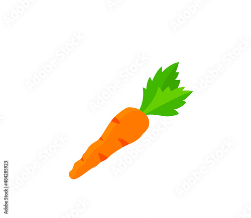 Carrot vector isolated icon. Emoji illustration. Carrot vector emoticon