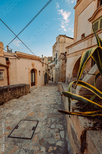 Alley in the Sassi of Matera with plant  Sanseveria  in the foreground  vertical