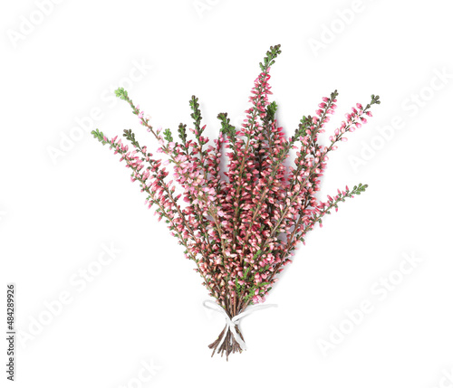 Bunch of heather branches with beautiful flowers isolated on white, top view