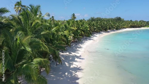 Aerial view of a paradise beach with palm trees along the coast, Desroches, Seychelles. photo