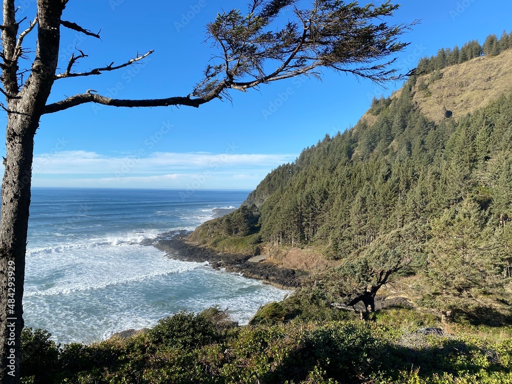 Stunning Central Oregon Coast View Stunning Central Oregon Coast View