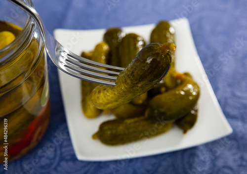 Close up view of little pickled cucumber gherkin on fork, homemade preserves