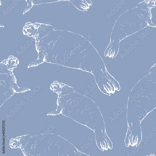 Seamless animal pattern with hand drawn silhouettes of Southern elephant seals. (Mirounga leonina). photo