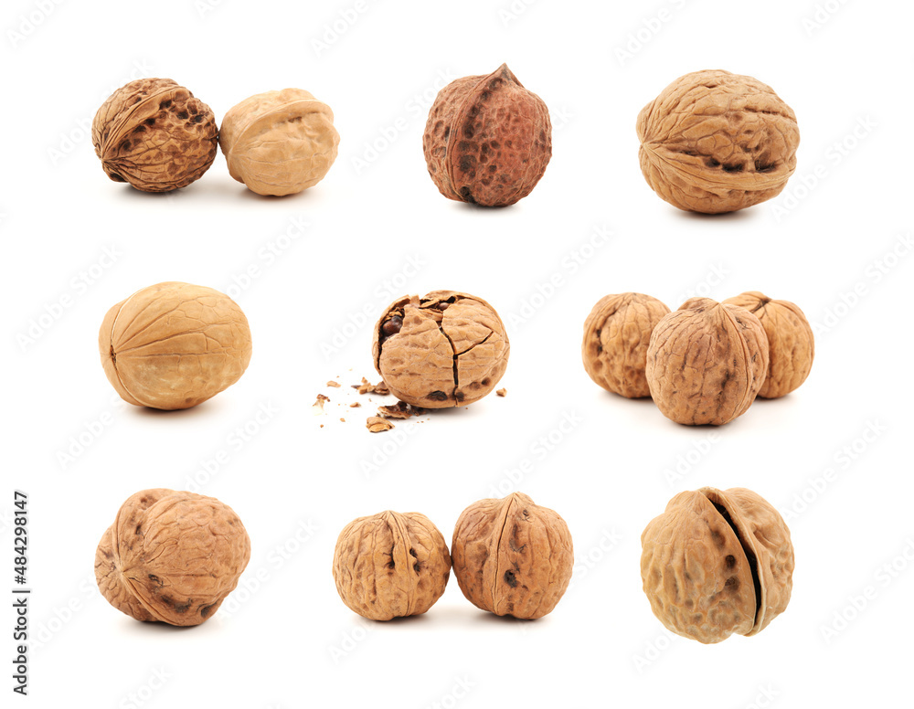 walnuts on a white walnuts on a white