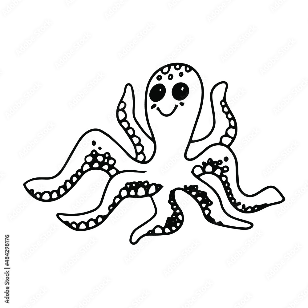 vector illustration linear drawing animal doodle octopus 