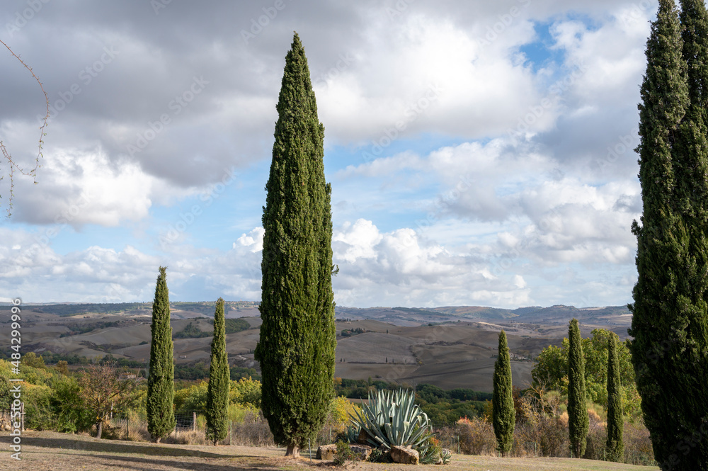 Hiking on hills of Val d'Orcia near Bagno Vignoni, Tuscany, Italy. Tuscan landscape with cypress trees, vineyards, forests and ploughed fields in autumn.