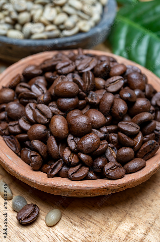 Fototapeta premium Green un-roasted and brown roasted coffee beans from Africa coffee producing region, cultivating in Ethiopia, Ivory Coast, Uganda, Kenya, Rwanda and Tanzania