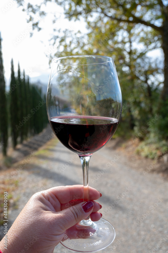 Tasting of red sangiovese wine with typical hilly vineyards and cypress tree on background near Montepulciano, Tuscany, Italy