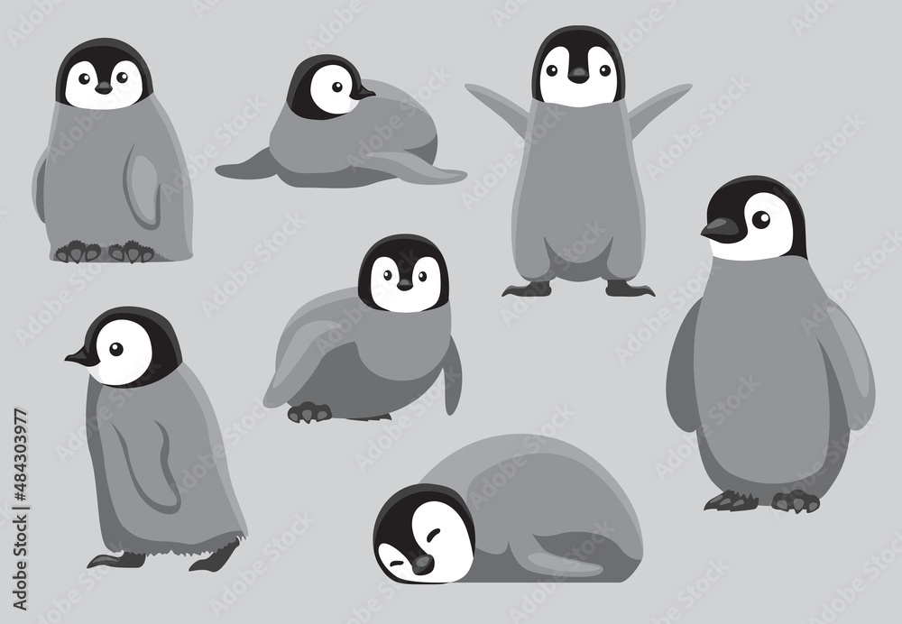 Obraz premium Animal Cartoon Baby Emperor Penguin Chick Vector Illustration