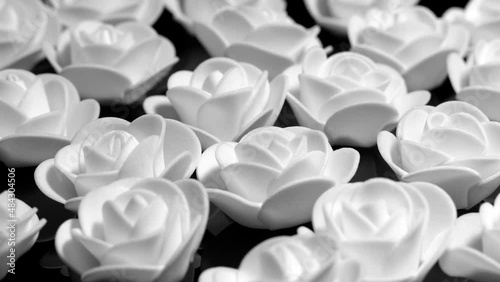 White decorative roses on a black plate, rotation  background. Close up