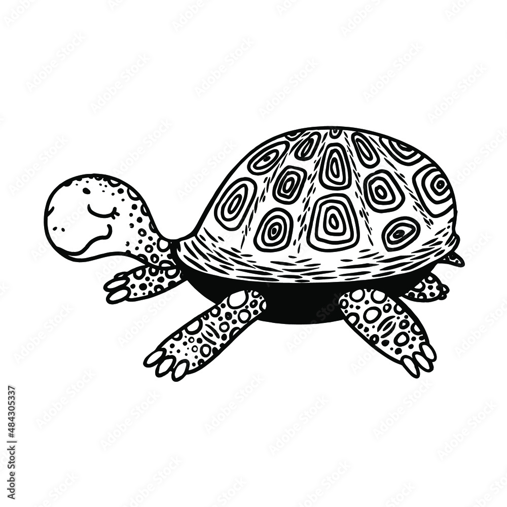 Fototapeta premium vector illustration line drawing big cute turtle with closed eyes. Black and white graphics, turtle. 