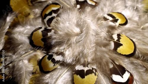Mottled feathers rotation background. Close up