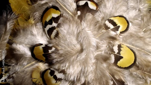 Mottled feathers rotation background. Close up