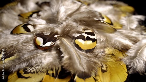 Mottled feathers rotation background. Close up