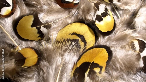 Mottled feathers rotation background. Close up