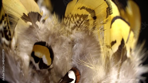 Mottled feathers rotation background. Close up