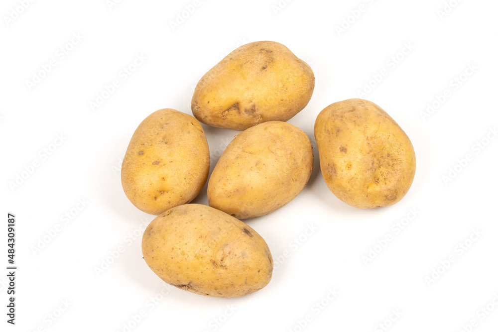 Potato Isolated on White Background Potato Isolated on White Background