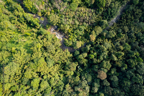 Aerial view of river in tropical rainforest © MohdZairi