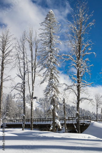 Sochi, Krasnaya Polyana, Russia - January 21, 2022:  Bridge are on road  in the winter mountain forest on ski resort