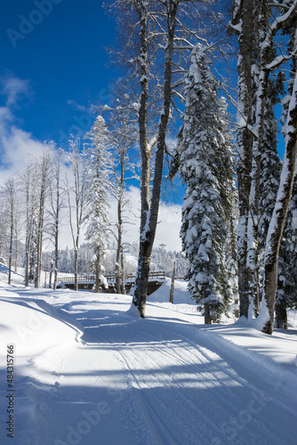Sochi, Krasnaya Polyana, Russia - January 21, 2022:  Road are in the winter mountain forest on ski resort