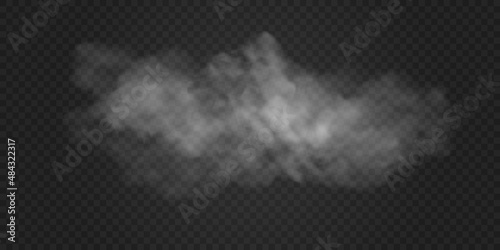 Fog effect or lady on a dark background. Vector