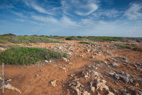 Cushion-like plant communities. Photo taken in the municipality of Sant Lluis, Menorca, Spain