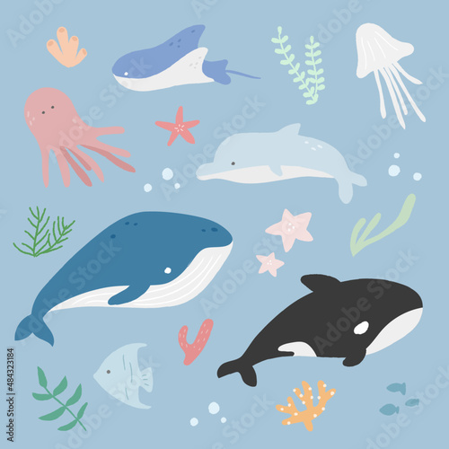 Illustration of marine life. Whale  Octopus  Jellyfish  Dolphin    Killer Whale  Stingray.