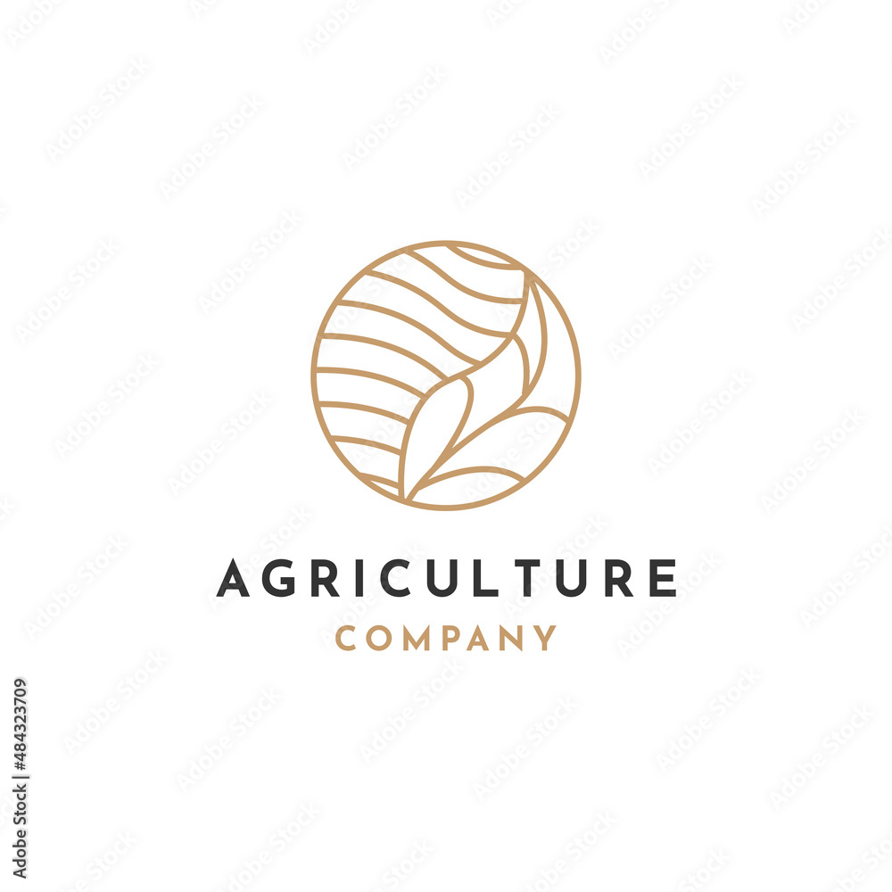 Agriculture leaf logo design