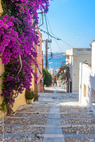 Fototapeta Naklejka Na Ścianę i Meble -  Street view of  traditional houses and a colorful bougainvillea tree in Ermoupolis, Syros island, Greece