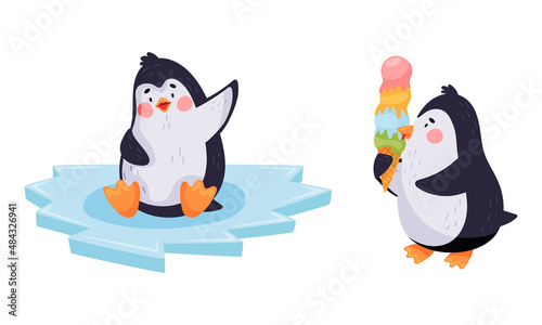 Cute penguin characters set. Adorable penguins sitting on ice and eating ice cream cartoon vector illustration