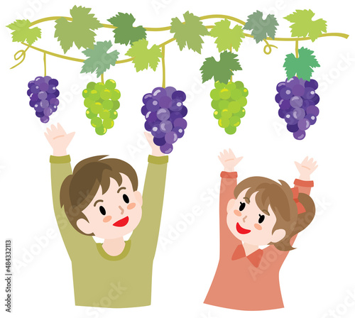 ぶどう狩りをする子供たち