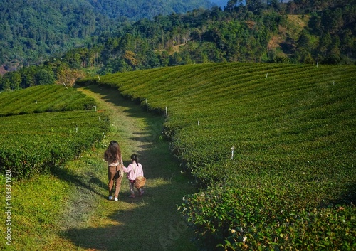 The back view of a mother and her daughter walking down a hill at a terrace farming of tea planation with beautiful mountain in the background. photo