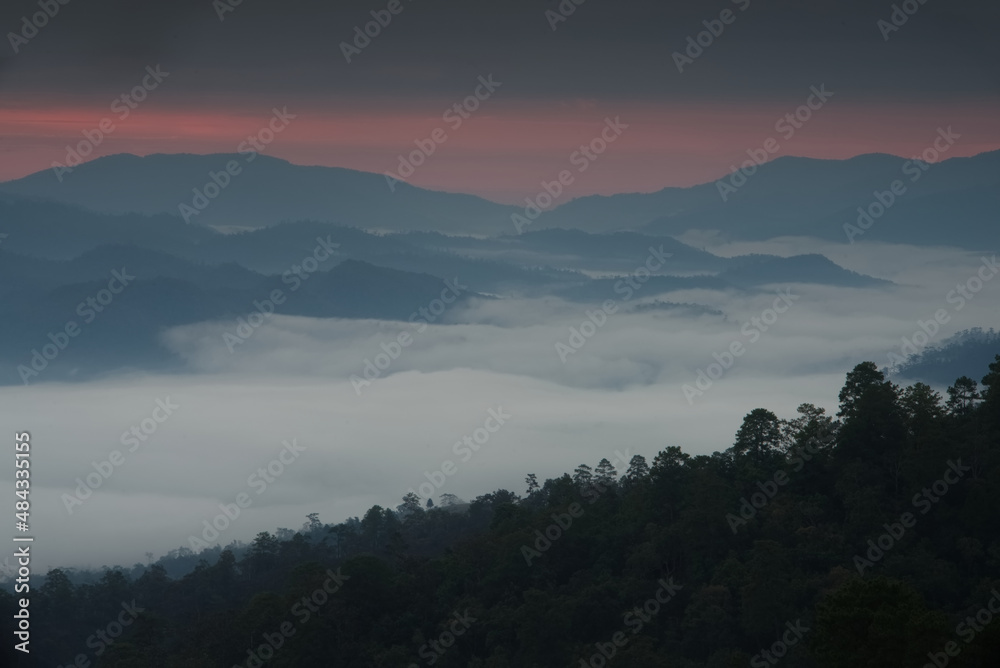 Fluffy sea of fog in a mountain valley with twilight sky in a morning