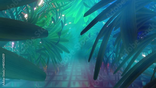 VJ Loops tunnel jungle in fog