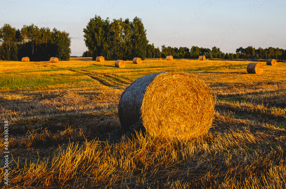 A bale of straw at sunset illuminated by the rays of the warm sun