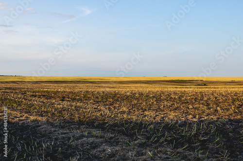 Obraz na plátně The soil is cultivated with a disc harrow at sunset
