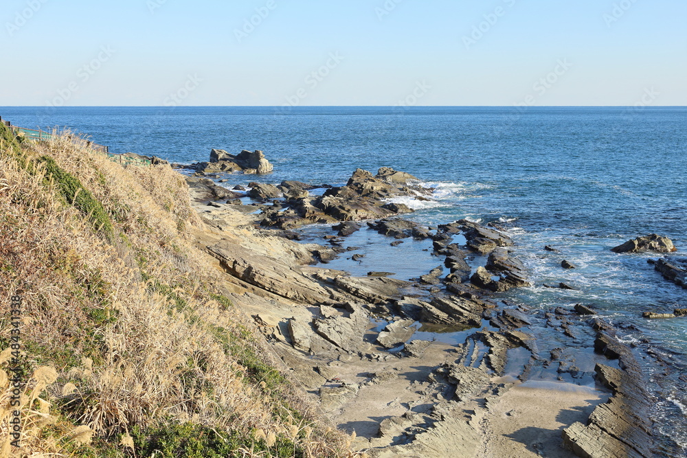 犬吠埼の白亜紀浅海堆積物(千葉県銚子市) 犬吠埼の白亜紀浅海堆積物(千葉県銚子市)