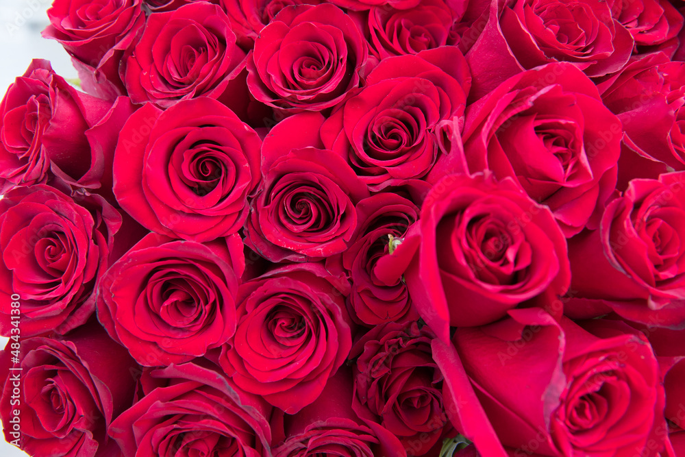 Obraz premium natural red roses background. great gift for valentines day, birthday, and marriage.
