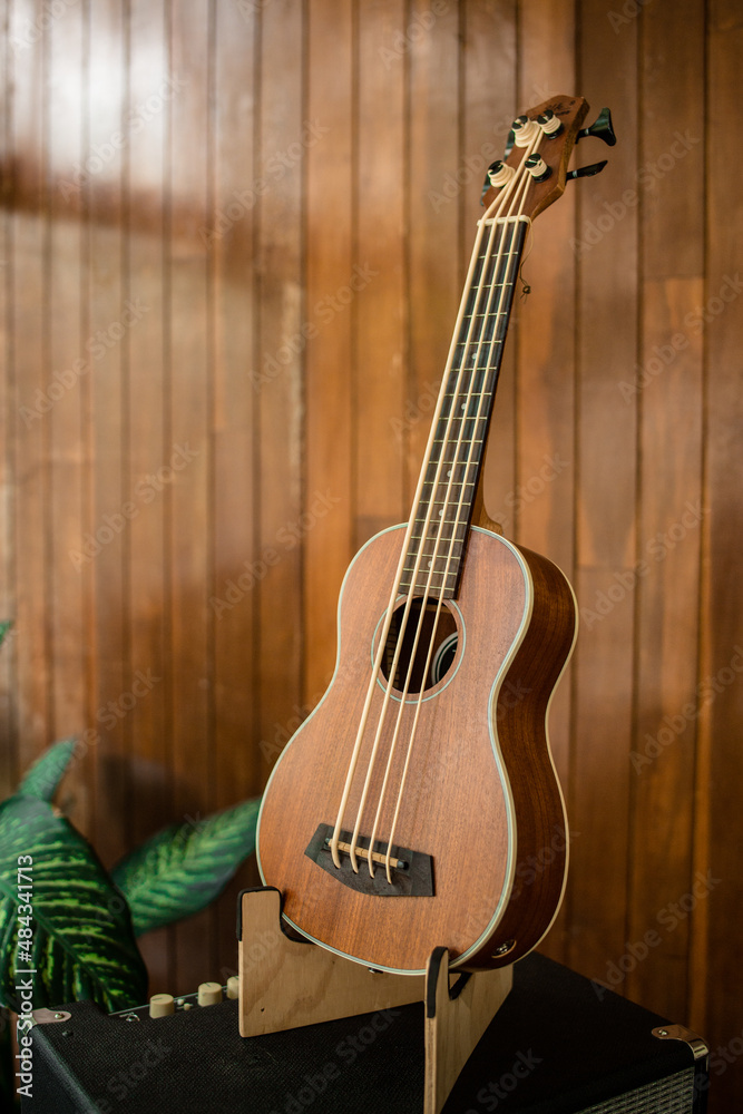 (Wood Ubass) Ukubajo de Madera eléctrico
(Wood Ubass) Ukubajo de Madera eléctrico