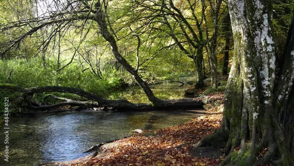 serene quiet stream in forest for meditation in germany schwäbische Alb Filsursprung Löwenpfade Wiesensteig serene quiet stream in forest for meditation in germany schwäbische Alb Filsursprung Löwenpfade Wiesensteig