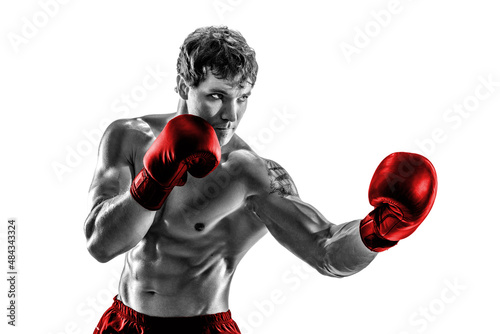 Studio shot of silhouette boxer who training, practicing uppercut on white background. Red gloves  © zamuruev