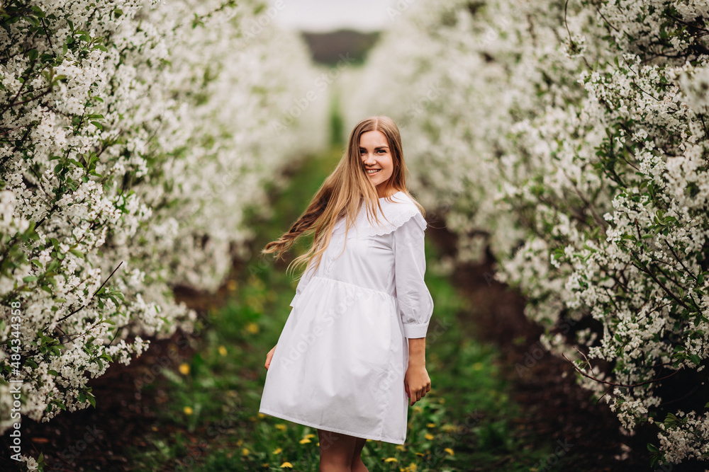 Beautiful young woman near blooming white tree in spring park. A woman in a white dress stands among the flowers on an apple tree. spring season concept Beautiful young woman near blooming white tree in spring park. A woman in a white dress stands among the flowers on an apple tree. spring season concept