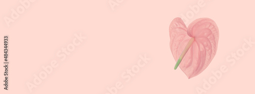 Cover pink flower in the shape of a heart isolated on pink background