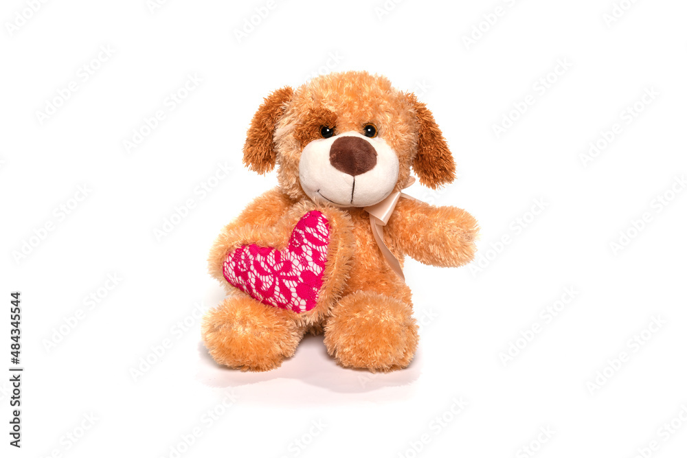 Isolated plush toy dog on white background Isolated plush toy dog on white background