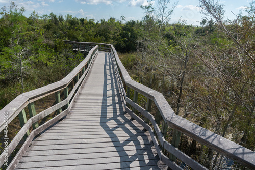 Fototapeta Naklejka Na Ścianę i Meble -  Everglades national park