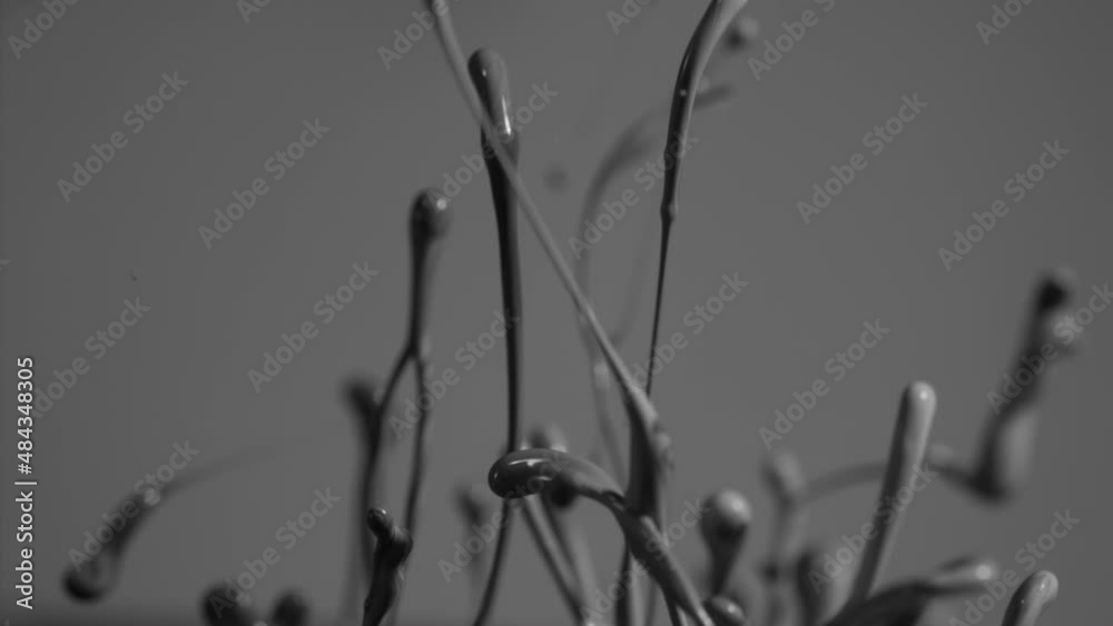 Black And White Paint Splashing Together In Abstract Shapes Black And White Paint Splashing Together In Abstract Shapes