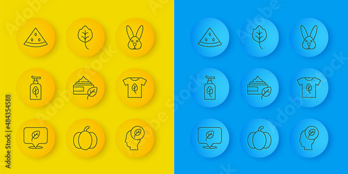 Set line Vegan food diet, Organic cosmetic, Human head with leaf inside, shirt, Watermelon, Animal cruelty free and Leaf or leaves icon. Vector