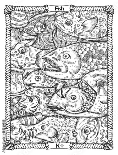 Fish card from the oracle Old Marine Lenormand deck. Nautical vintage background, coloring book page, t-shirt and tattoo vector graphic, pirate adventures concept.