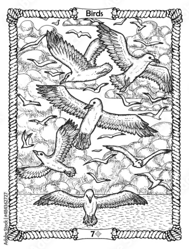 Birds card from the oracle Old Marine Lenormand deck with flying gulls and waves. Nautical vintage background, coloring book page, t-shirt and tattoo vector graphic, pirate adventures concept.