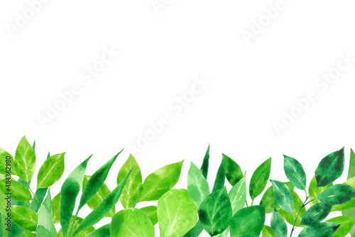 Greenery watercolor background with place for text.